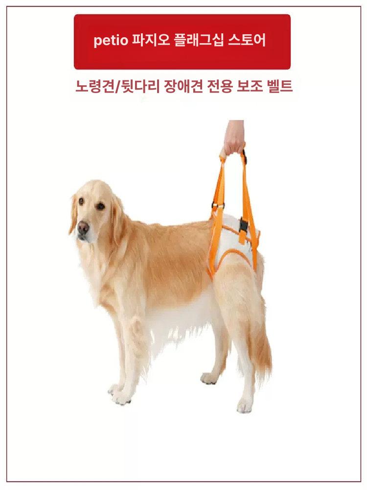 강아지 슬개골 보조기구 보행 견인 대형견 벨트 등받이 보조 스트랩 S 허리둘레 28~36cm - 상세 이미지 2