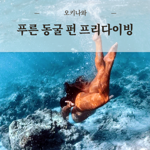 오키나와 보트 펀 프리다이빙 푸른동굴 체험 한국어 가능(사진, 영상촬영) 일일투어 스노쿨링 - 상품 이미지