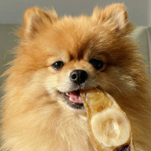 강아지 우족 슬라이스 강아지 오래 먹는 간식 대형견간식 스트레스관리, 3... 솔직 후기 | 실제 사용자 리뷰 총정리 - 상품 이미지 1