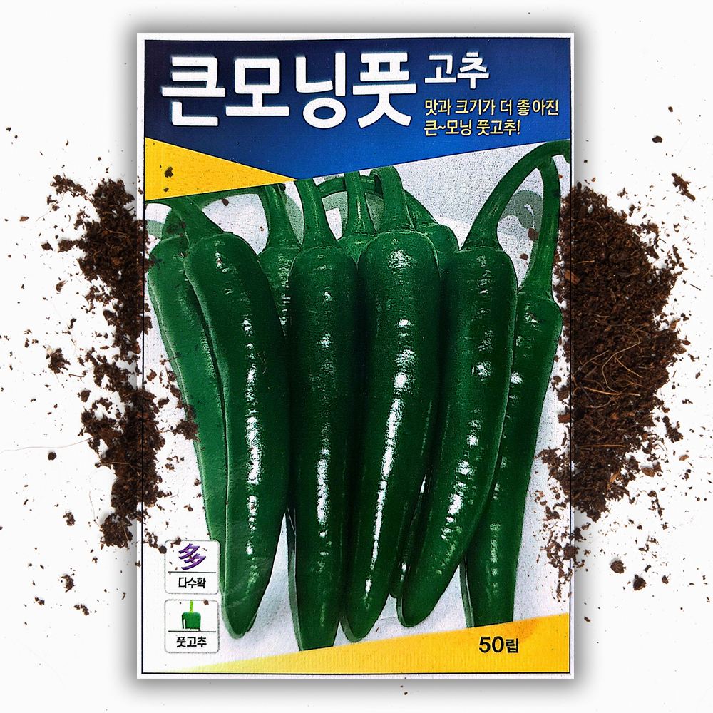 큰 모닝 고추씨앗 (50립) 오이맛 아삭이고추 종자 씨 - 상품 이미지