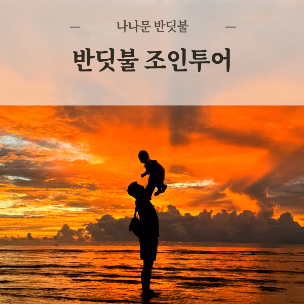 코타키나발루 반딧불투어 (나나문 조인투어) 개체수가 가장 많은 곳 반딧불이 자유여행