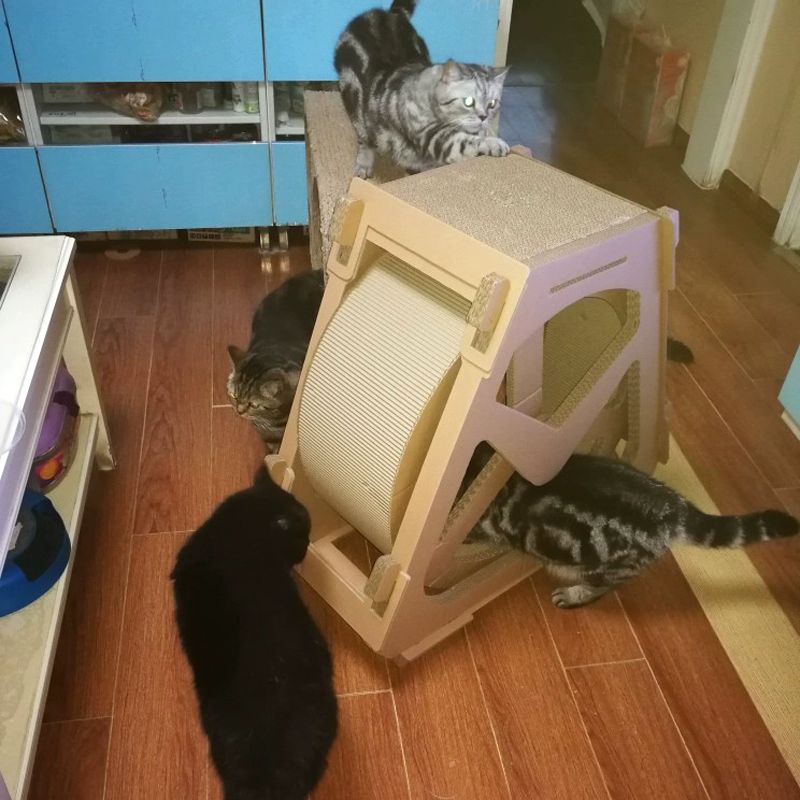 고양이 쳇바퀴 캣타워 스크래쳐 캣휠 놀이터 장난감 심플 원목 러닝 다이어트 운동기구 대형 - 상세 이미지 4