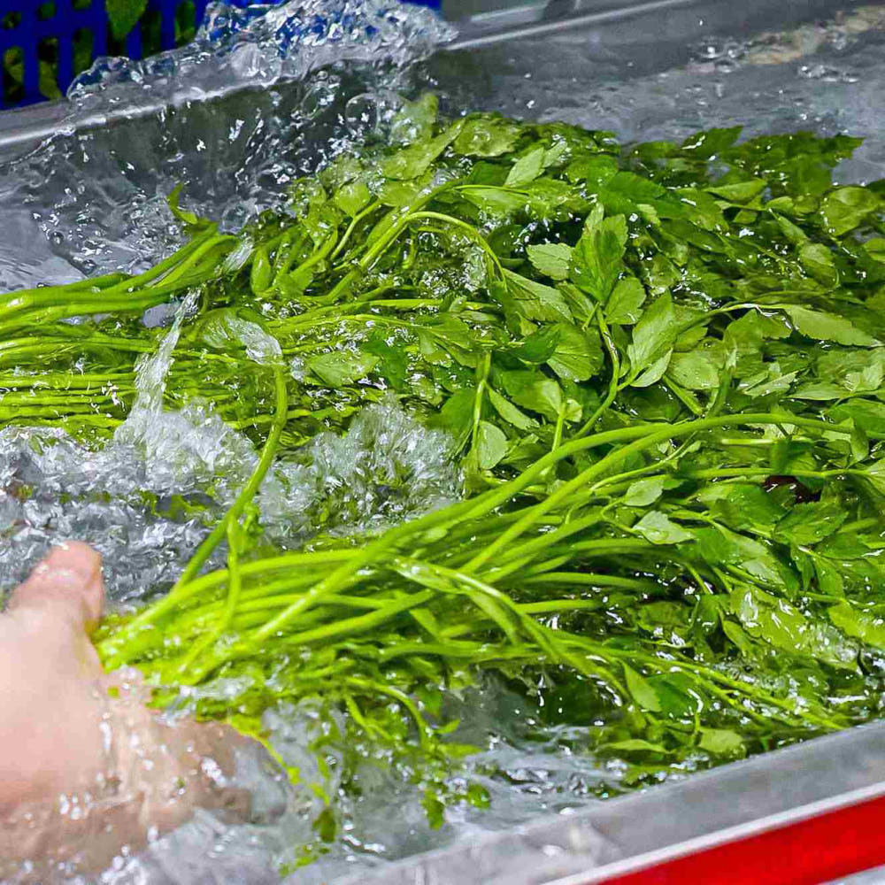 청도 미나리 500g