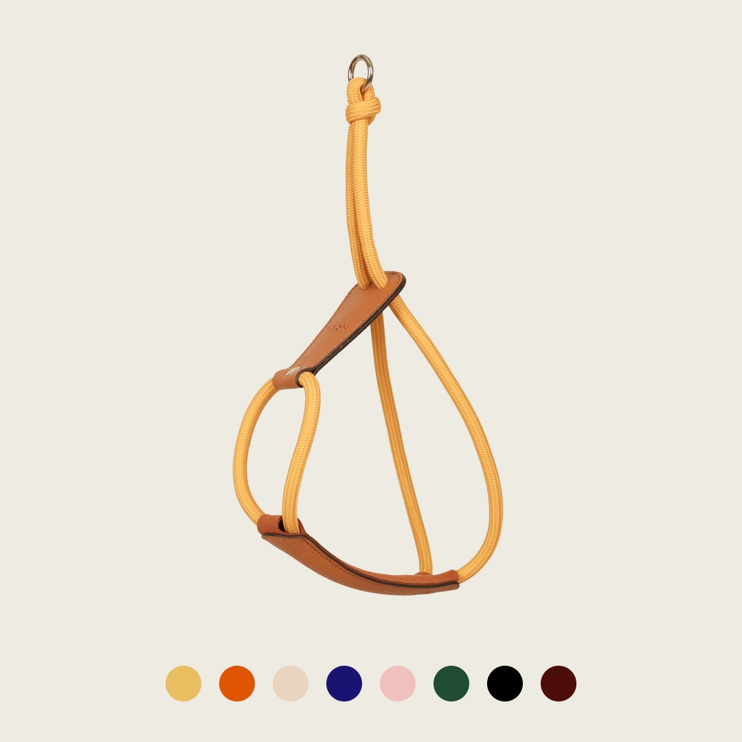 호지 에센셜 하네스 소형견 중형견 대형견 가슴줄 하네스 강아지 산책 제품 이미지