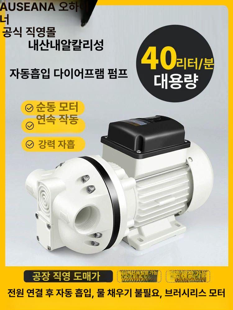 낚시 양수기 낚시양수기 배수펌프 급수 모터펌프 수중 요소 펌프 220V - 상세 이미지 2