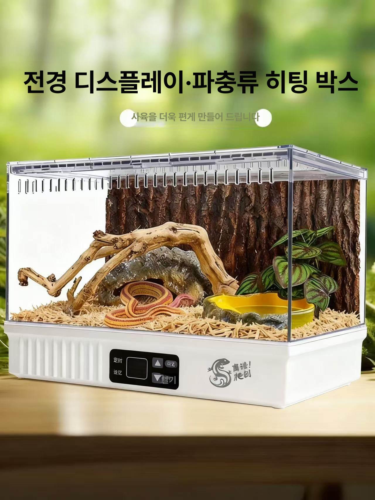 아크릴 은신처 숨숨집 도마뱀 햄스터 레오파드 게코 투명 패션화이트 조경없음 - 상세 이미지 3
