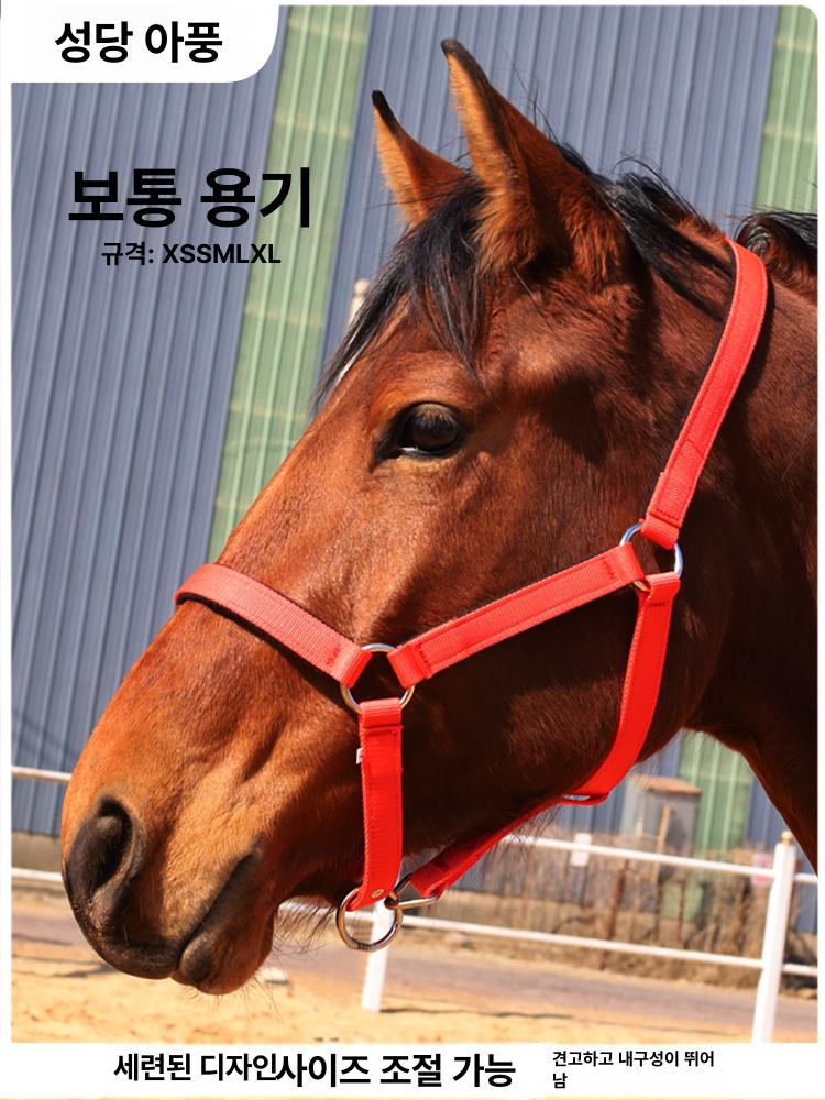 비트리스 굴레 조련 리드줄 고삐 당김 말 브리들 마구 블루 소형 1.1m 이하 - 상세 이미지 2