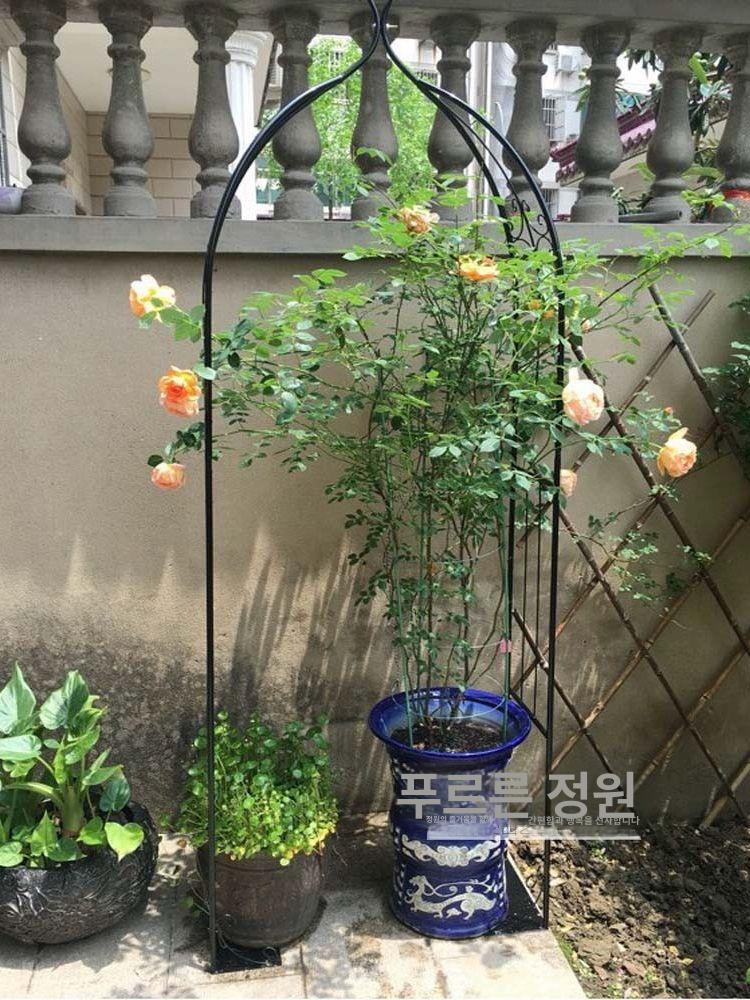 장미넝쿨지지대 가든아치 울타리 포도나무 철제 오벨리스크 화이트 80cm 중간 - 상세 이미지 4