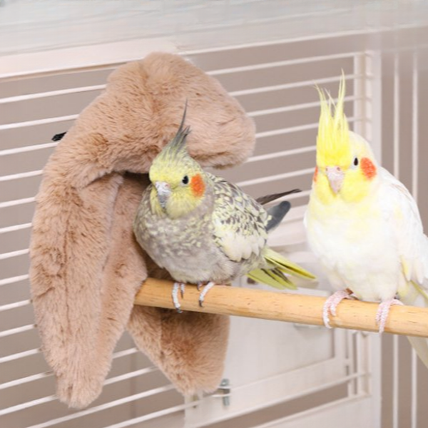 포근 앵무새 새포근 담요 텐트 앵무새 겨울 포치