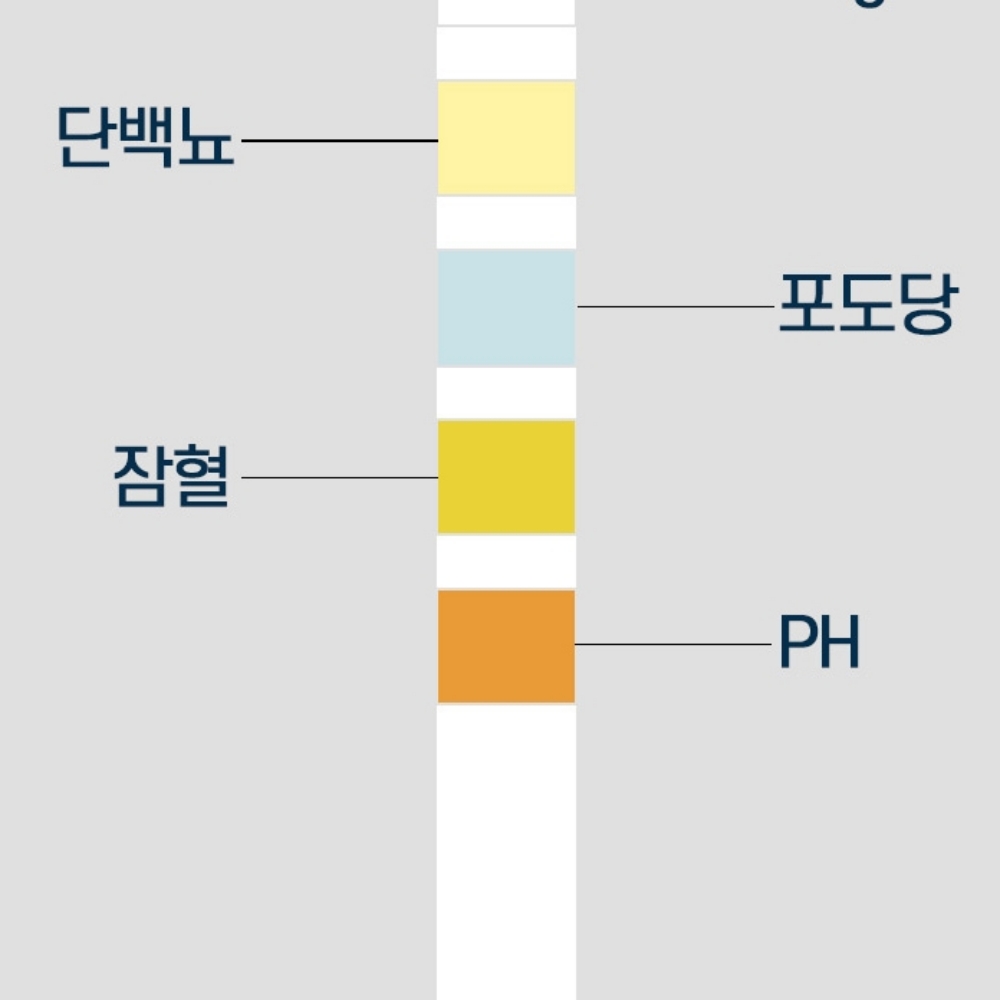 소변검사스틱 단백뇨스틱 소변검사키트 단백뇨검사지 - 상세 이미지 4