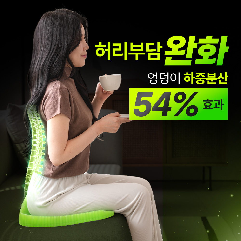 밸런스온 시그니처 시트 치질 자세교정 추천템
