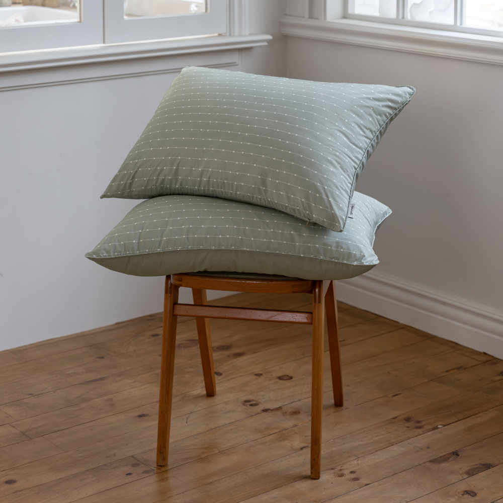 알러메디 알러지케어 먼지없는 사계절 베개커버