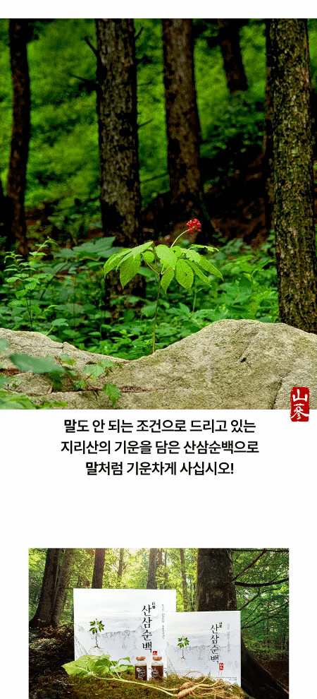 산삼순백 [7년근 산양산삼추출액100%] 판매처 상세 정보 이미지 2