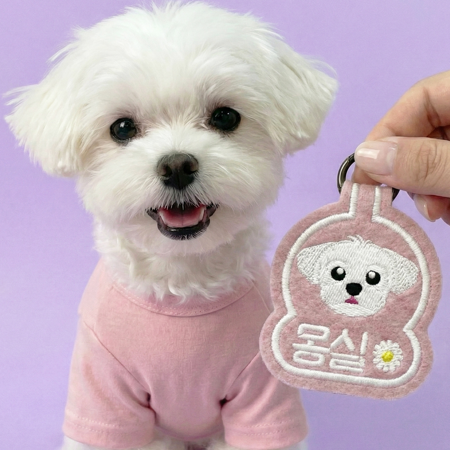 펫스츄리 강아지 인식표 이름표 자수 네임택 캐릭터 멍찰 이미지 3
