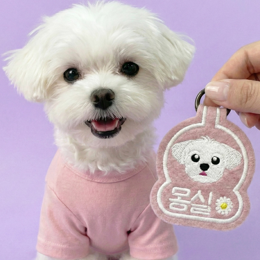 펫스츄리 강아지 인식표 이름표 자수 네임택 캐릭터 멍찰 사진 3