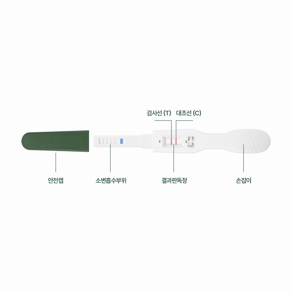 빠른임신테스트기 얼리임테기 얼리테스트기 - 상세 이미지 4
