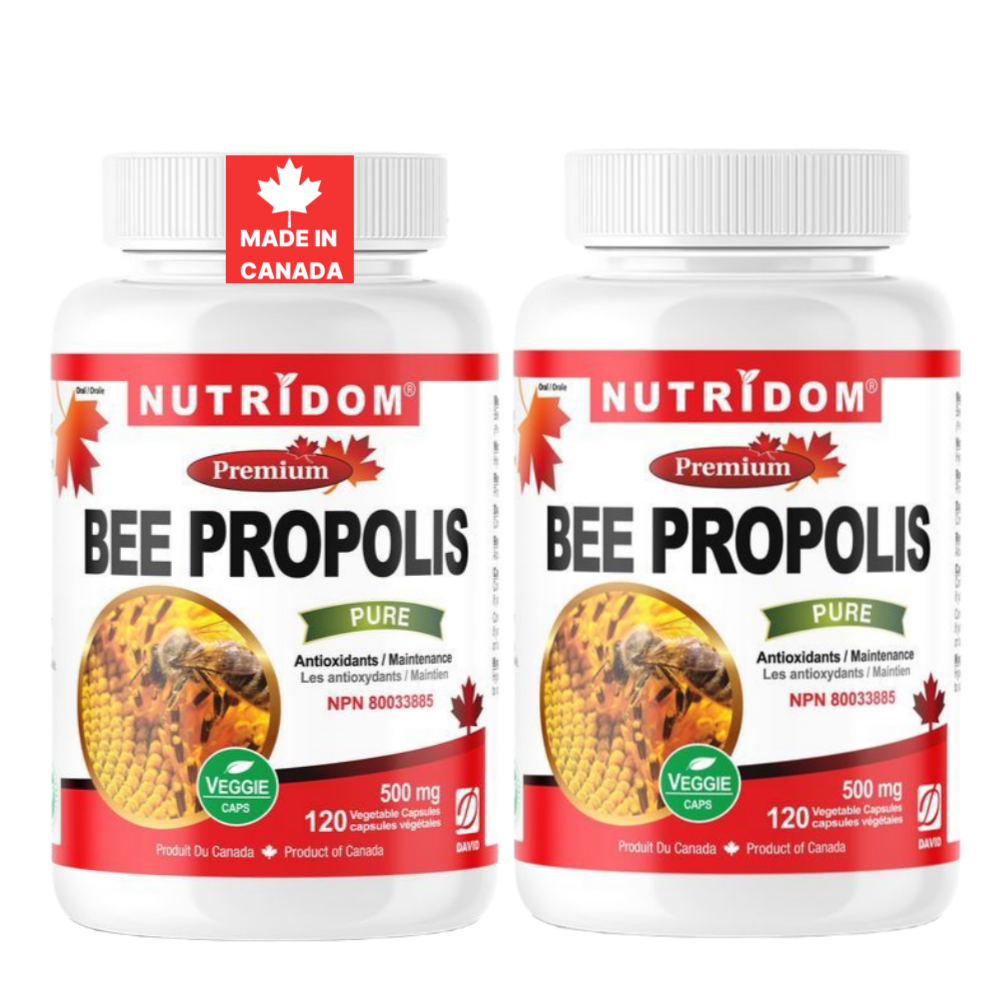 뉴트리돔 캐나다산 꿀벌 프로폴리스 500mg Bee Propolis 120캡슐, 2개 - 상품 이미지