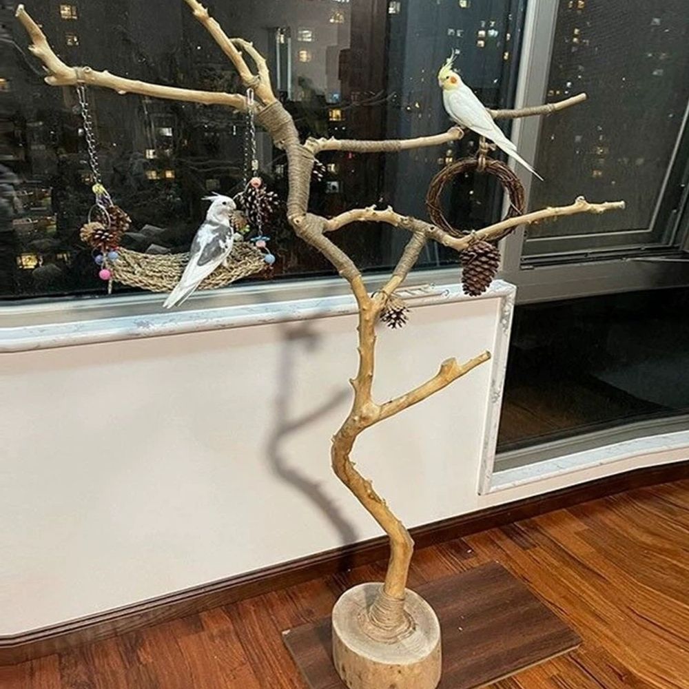 앵무새 놀이 A. 2 미터 나무 지점 새 새 스탠드 나무 부두 가지 밧줄, A. 마른 가지 - 상세 이미지 2