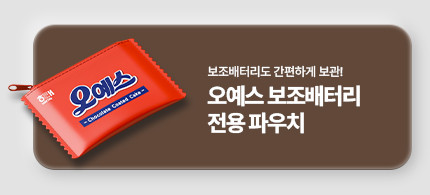 미니덕트 오예스 맥세이프 보조배터리 8000mAh, 초코브라운 판매처 상세 정보 이미지 2