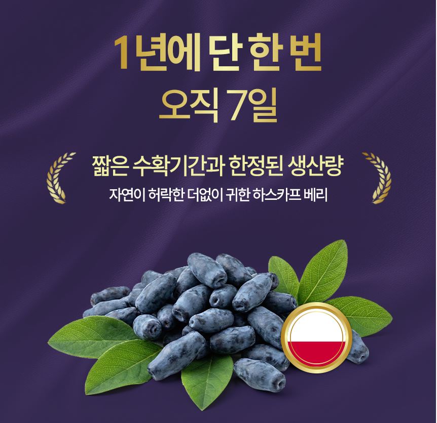 동결건조 하스카프베리복합추출물 골드 정 폴란드산 안토시아닌 C3G 50g, 1개 이미지 8