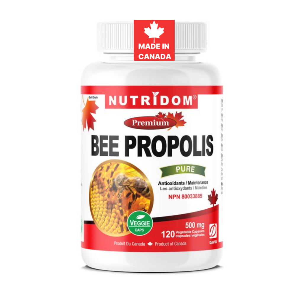 뉴트리돔 캐나다산 꿀벌 프로폴리스 500mg Bee Propolis 120캡슐, 1개 - 상품 이미지