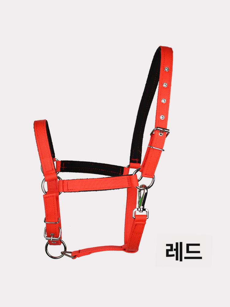 비트리스 굴레 조련 리드줄 고삐 당김 말 브리들 마구 블루 소형 1.1m 이하 - 상세 이미지 5