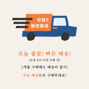 도마뱀 사육장 크레스티드 게코 아크릴 조립식 케이지 20x20x30 솔직 후기 | 실제 사용자 리뷰 총정리 - 상품 이미지 2