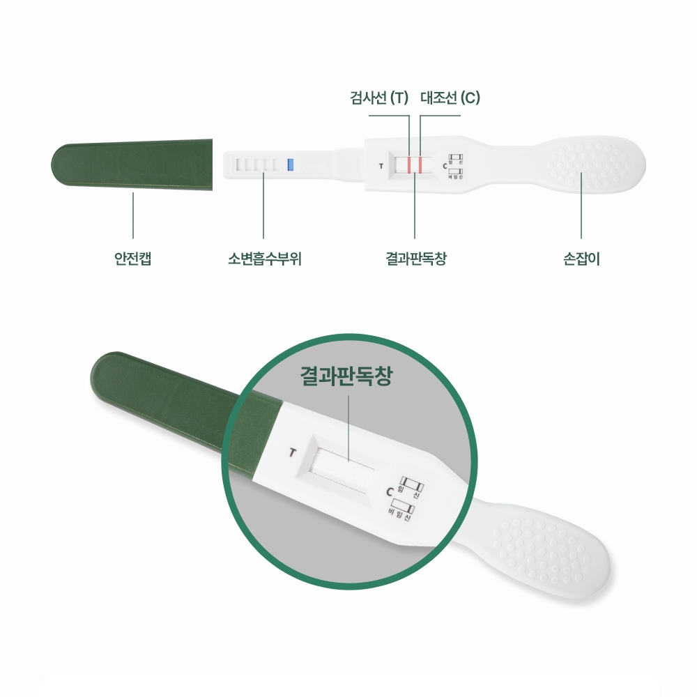 빠른임신테스트기 얼리임테기 얼리테스트기 - 상세 이미지 2