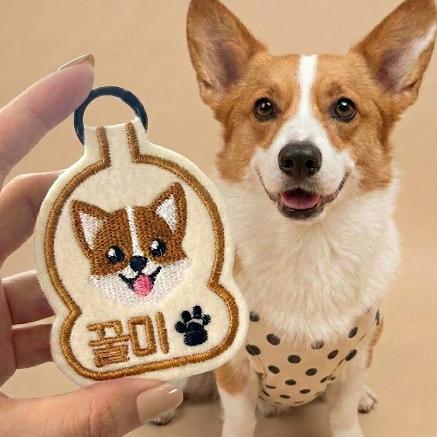 펫스츄리 강아지 인식표 이름표 자수 네임택 캐릭터 멍찰