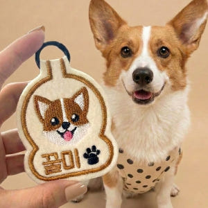 펫스츄리 강아지 인식표는 깔끔한 관리가 필요한 주부에게 적합해 일상에 편리함을 더합니다
