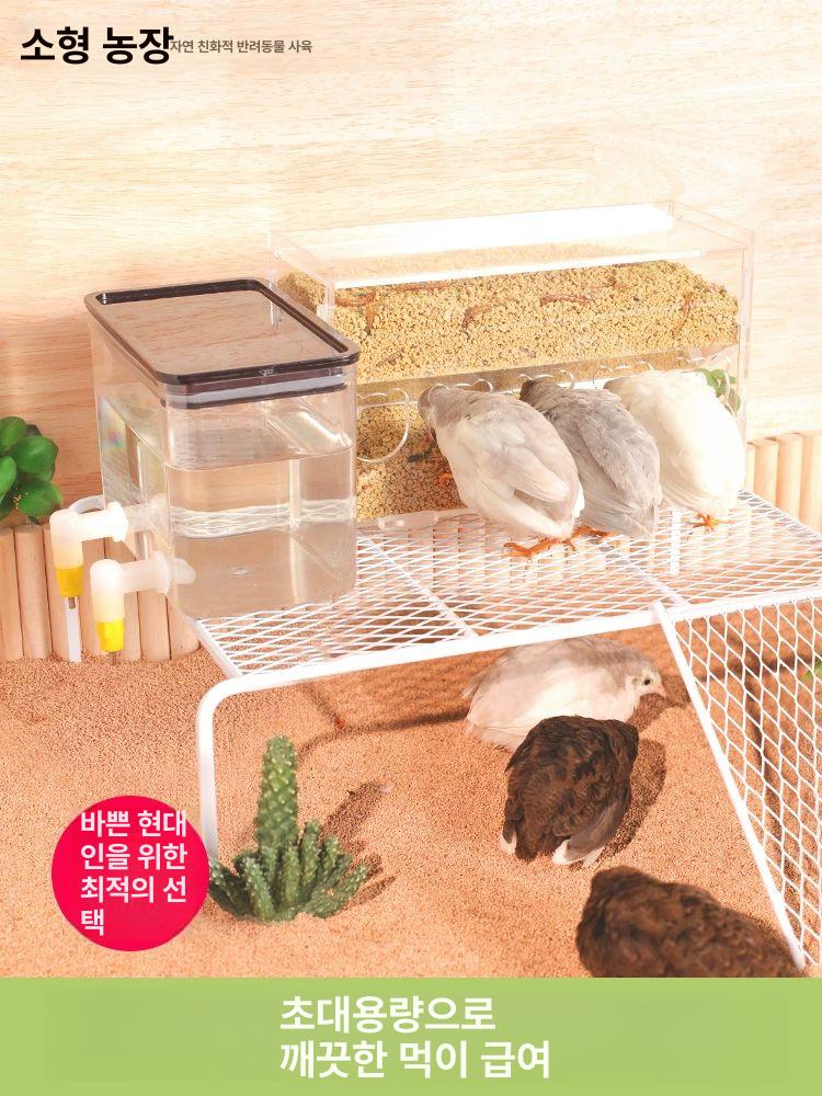 병아리 육추기 앵무새 사육통 사육장 보온 유정란 부화 800ml 물통 + 대용량 사료통 - 상세 이미지 2
