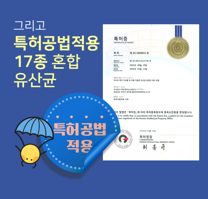 두뇌인지력 PS유산균 포스파티딜세린 노화 피부 건강 보습 뇌유산균복합물 - 상세 이미지 3
