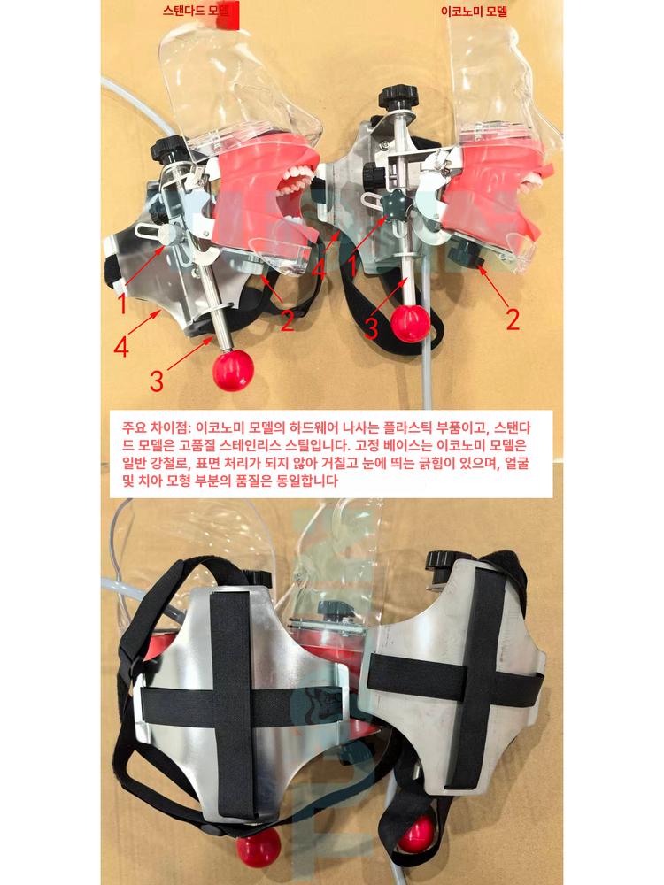 실습용 치과 마네킹 5 교보재 구강 교구 치위생사 더미 신형 스트랩 세트 - 상세 이미지 4