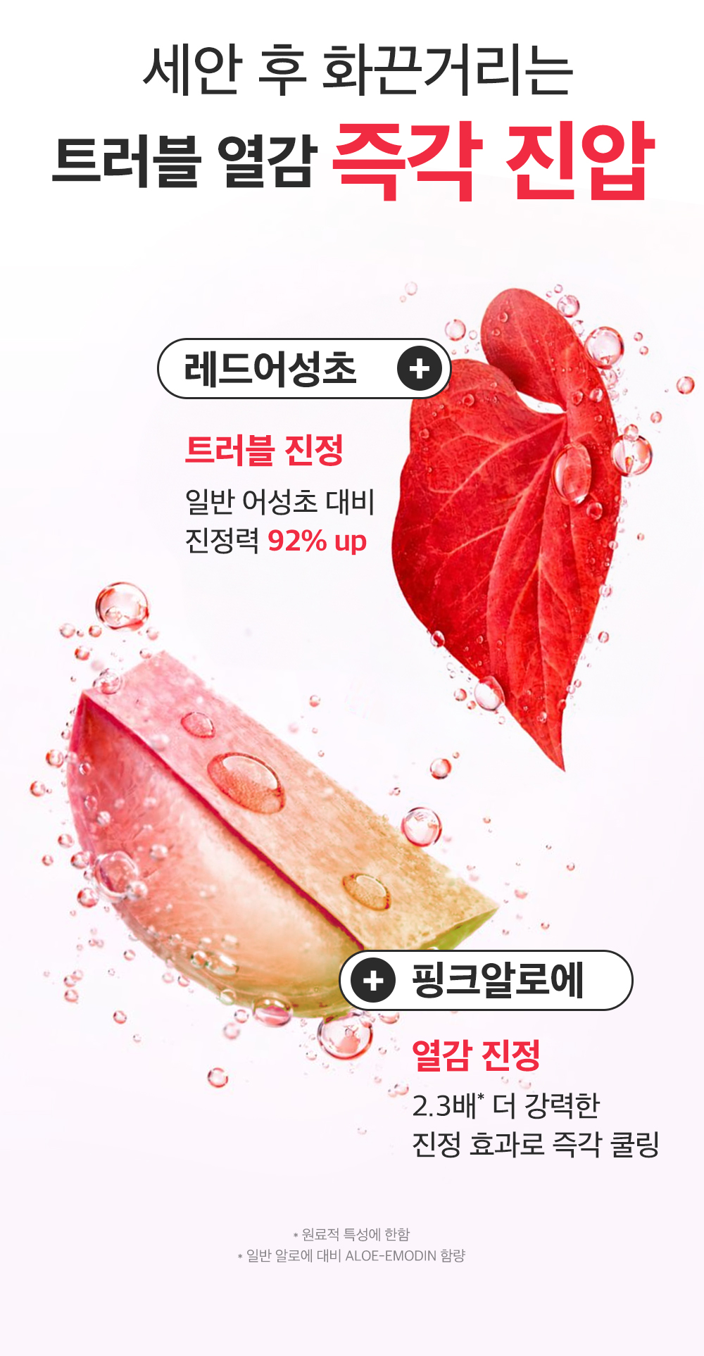 sungboon editor green tomato cleansing foam
