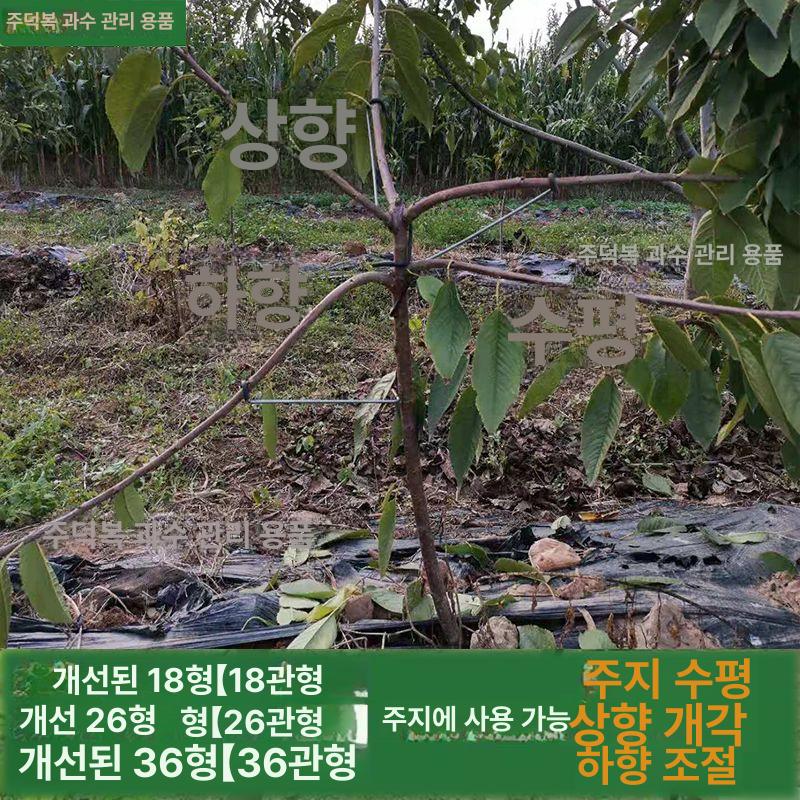 과수원 사과 가지 고정 벤더 세트 유인추 100개 분재 성형 개선형 06 5000개 - 상세 이미지 3