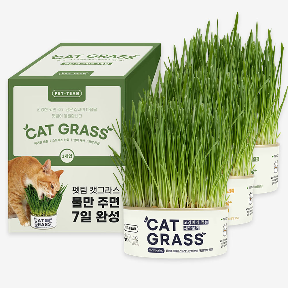 펫팀 캣그라스 고양이풀 3종 새싹보리+새싹귀리+새싹밀 제품 이미지