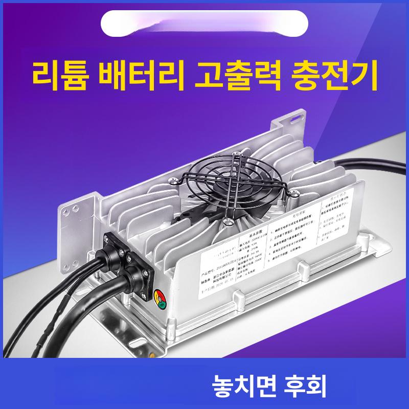 지게차 충전기 캠핑카 납산 배터리 스태커 골프카트 점프 24v20a - 상세 이미지 2