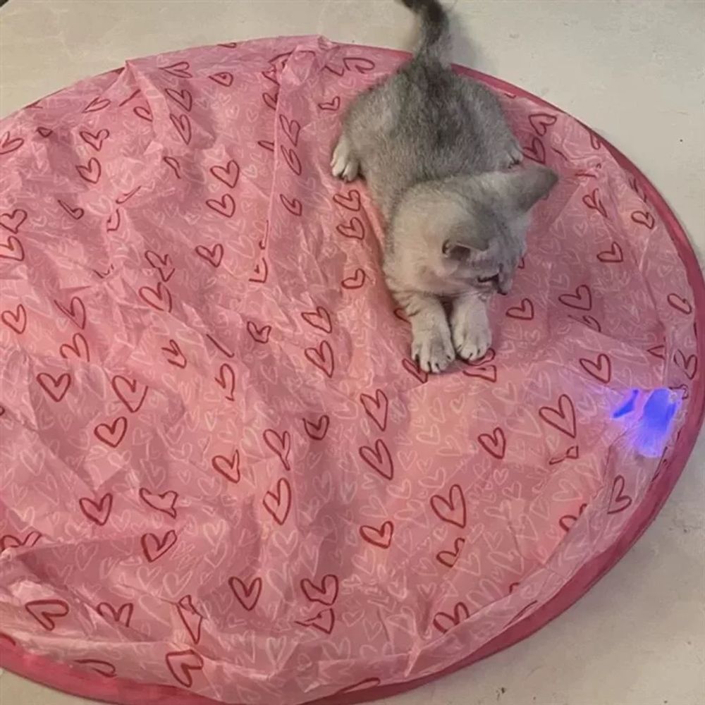 고양이 매직 짐볼 애난감 자동 핑크 사냥 고양이 사냥망+전동 반 A. 전기 고양이 공 레드 - 상세 이미지 2