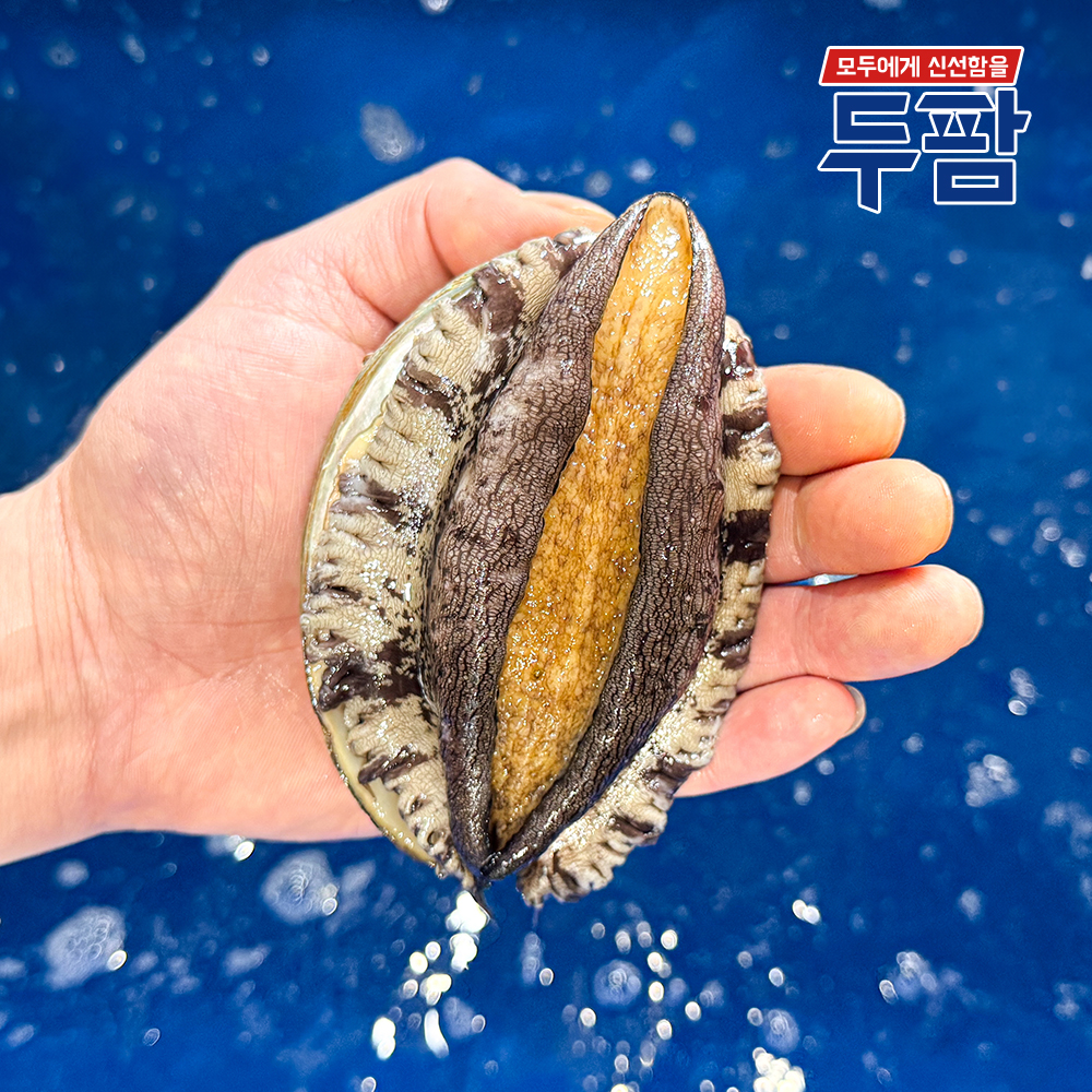 완도 손질전복 산소포장 활전복 1kg - 상품 이미지