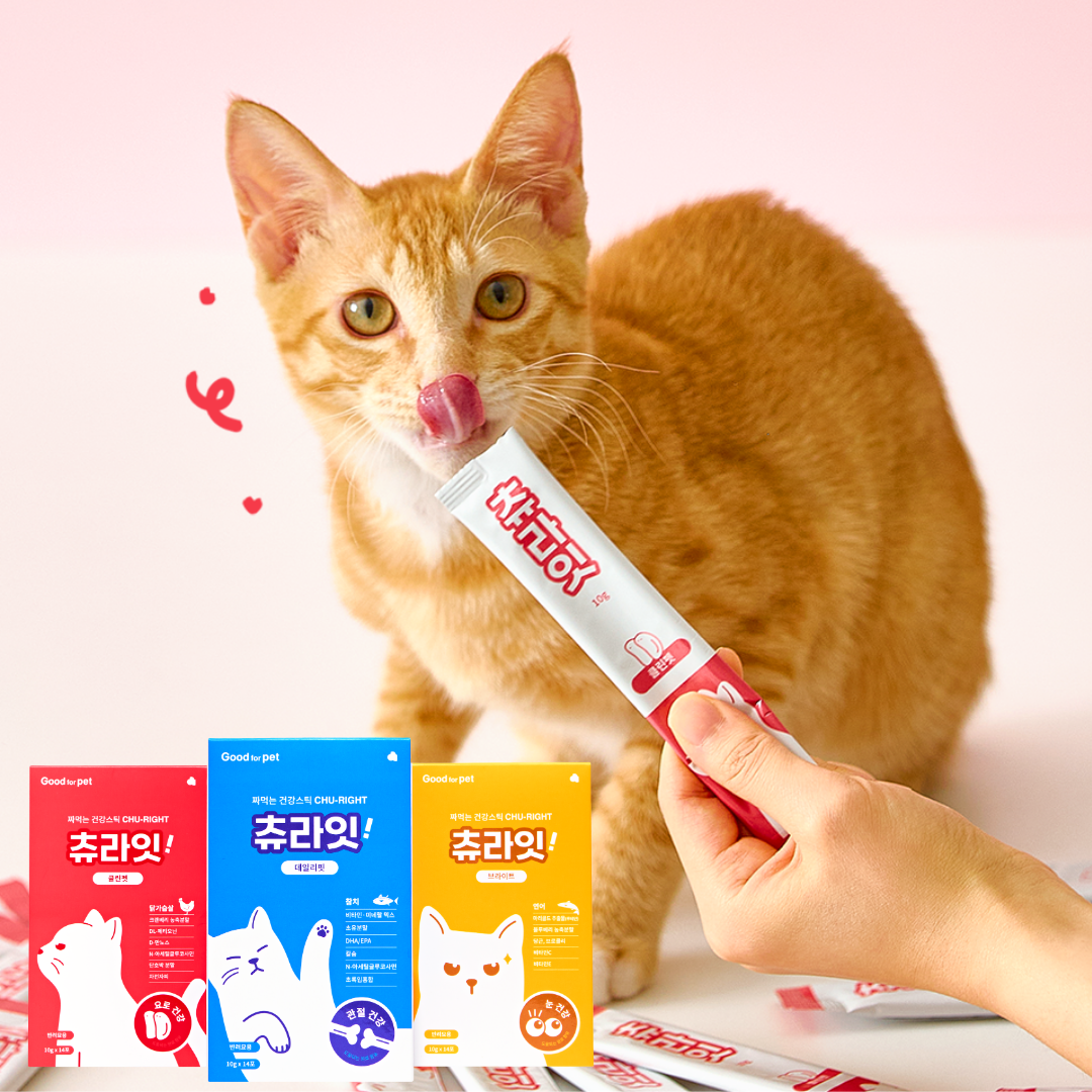 굿포펫 츄라잇 고양이 종합 면역력 영양제 스틱 재채기 종합영양, 140g, 14포 제품 이미지