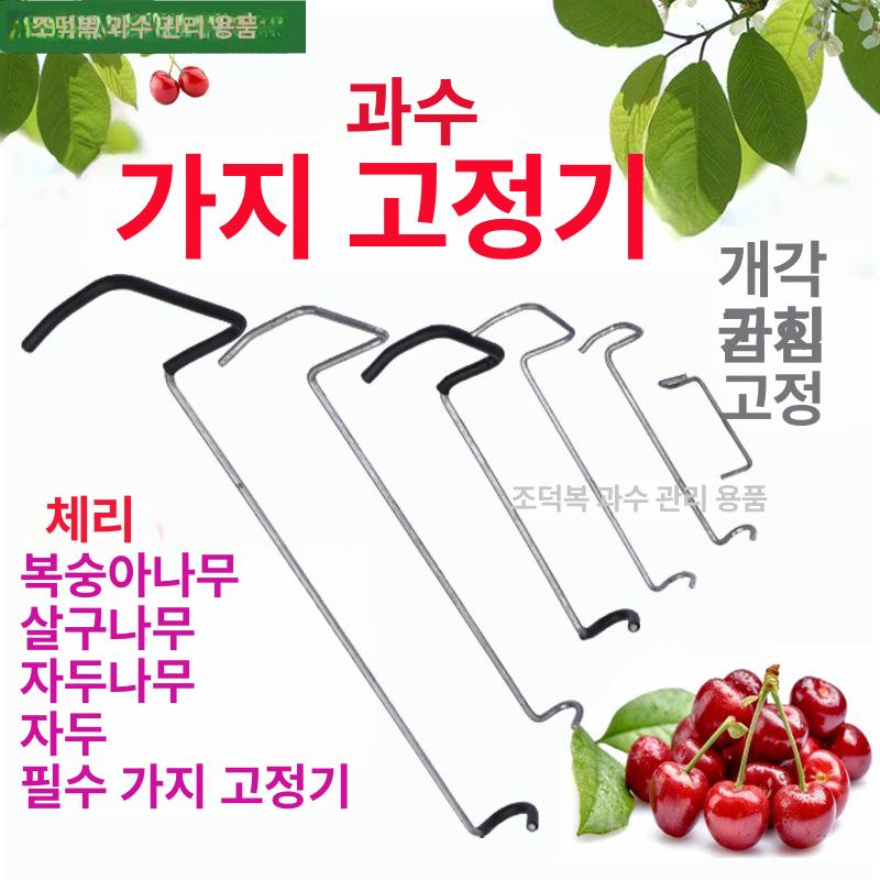 과수원 사과 가지 고정 벤더 세트 유인추 100개 분재 성형 개선형 06 5000개 - 상세 이미지 2