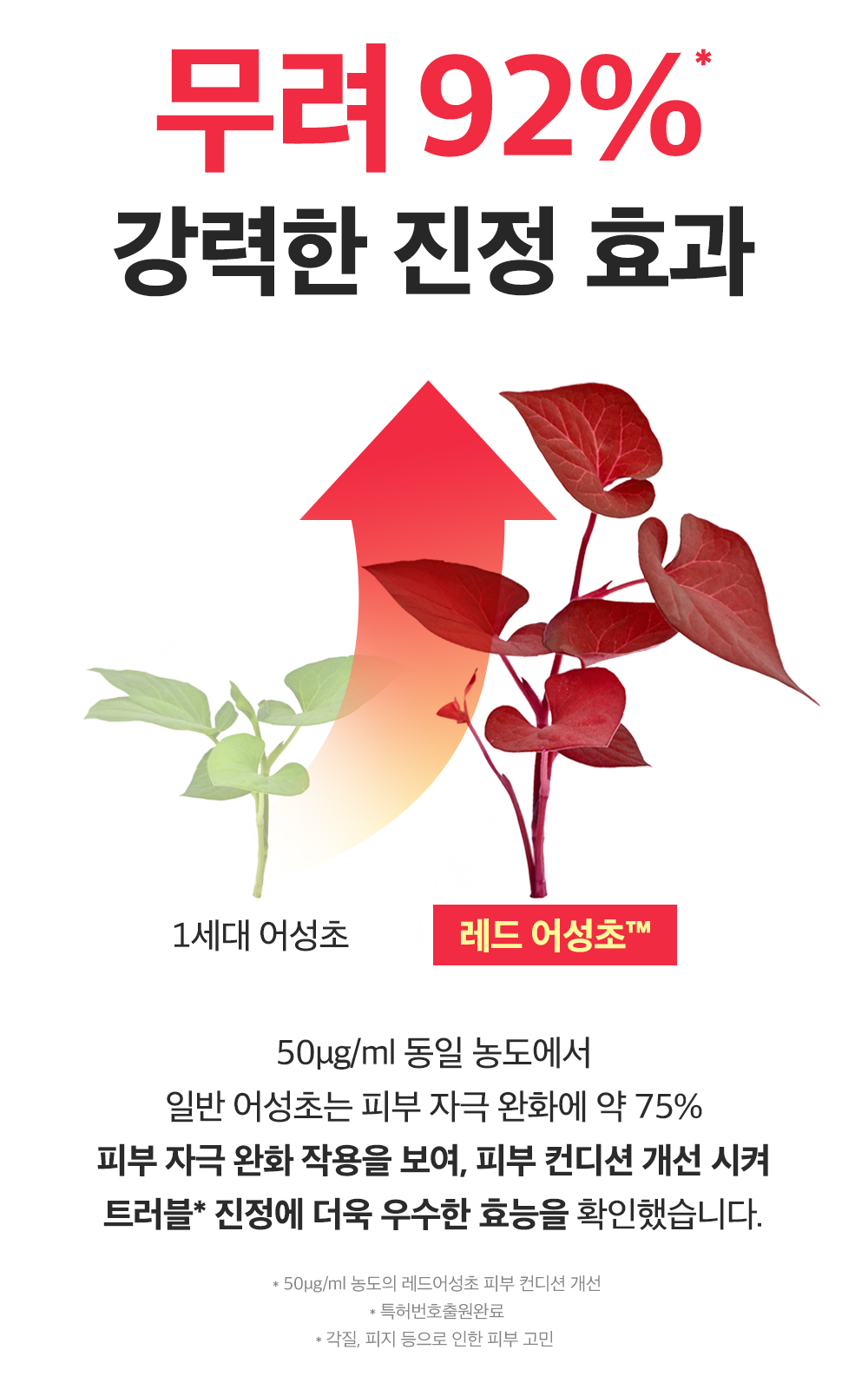 sungboon editor green tomato cleansing foam