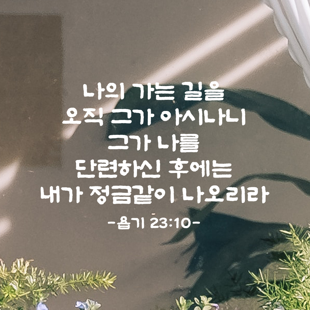 성경 말씀 스티커 욥기 23장 10절 담백한 붓글씨 교회 인테리어 검정S 37x24cm - 상세 이미지 2