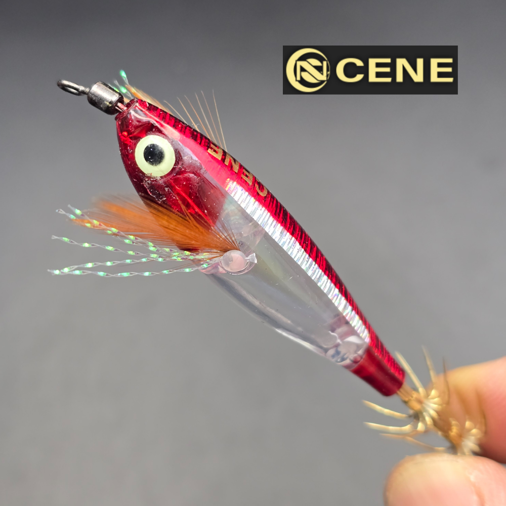 카포스 세네에기 프리즘 조타 CE-091 핑크, 6cm - 상세 이미지 3