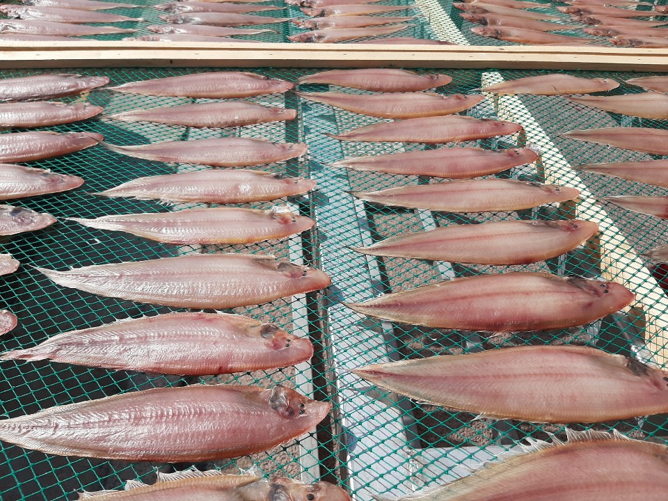 서대 반건조 생선 구이 조림 찜 이미지 8