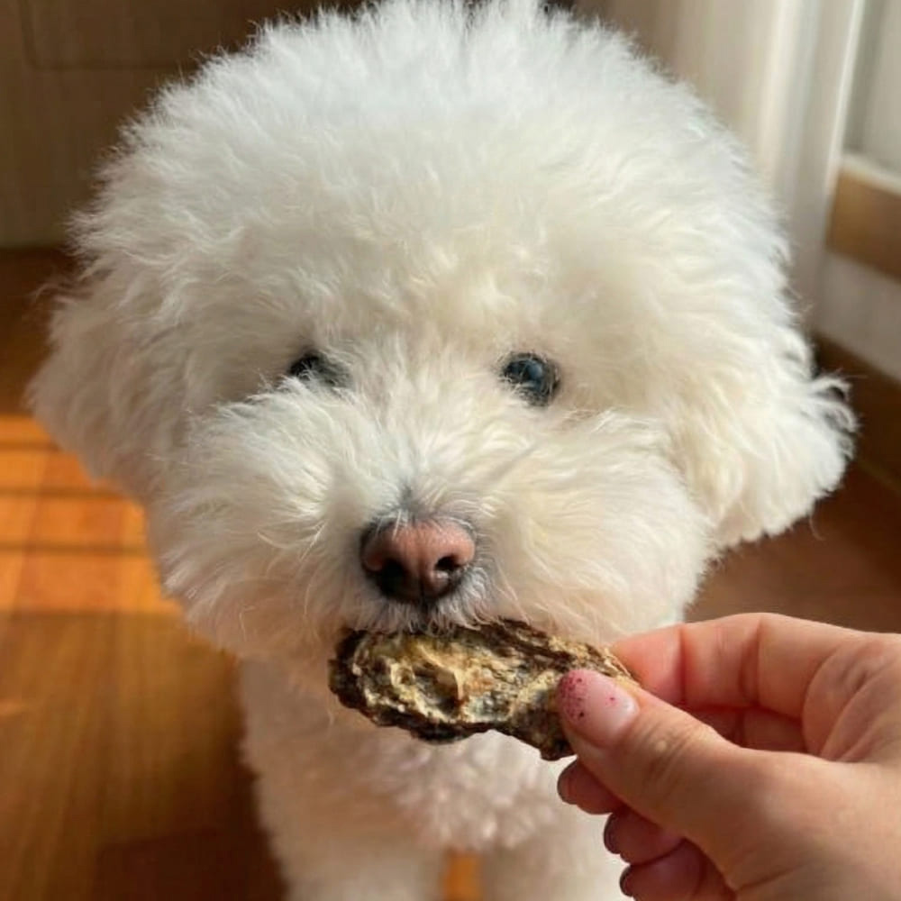 대용량오리목뼈 국내산 강아지 수제간식 대형견 강아지간식 오리목뼈, 100g, 2개 이미지 3