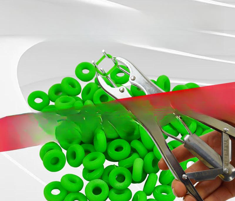 염소 거세 링 기계 펜치 돼지 꼬리 스텐 가위 손잡이 양 장착기 집게 기구 절단 - 상품 이미지