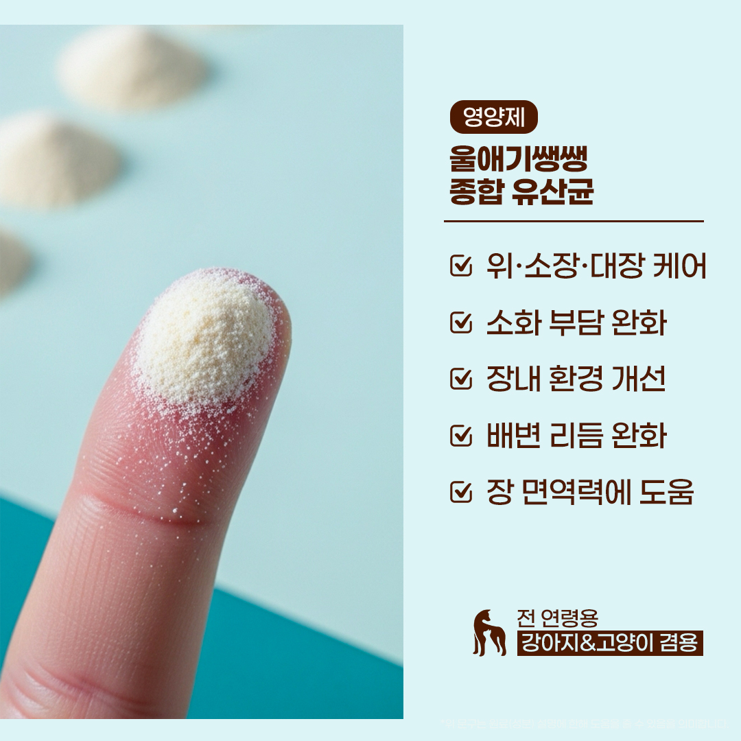울애기쌩쌩 종합유산균 디어랩스 강아지유산균 프로바이오틱스 장 피부 면역력 30포, 2개 - 상세 이미지 2