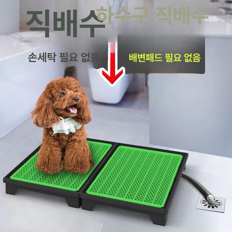 대형 강아지 견 배변패드 패드 패드판 파란색 없음 그린 2단 60 x 45cm - 상세 이미지 4