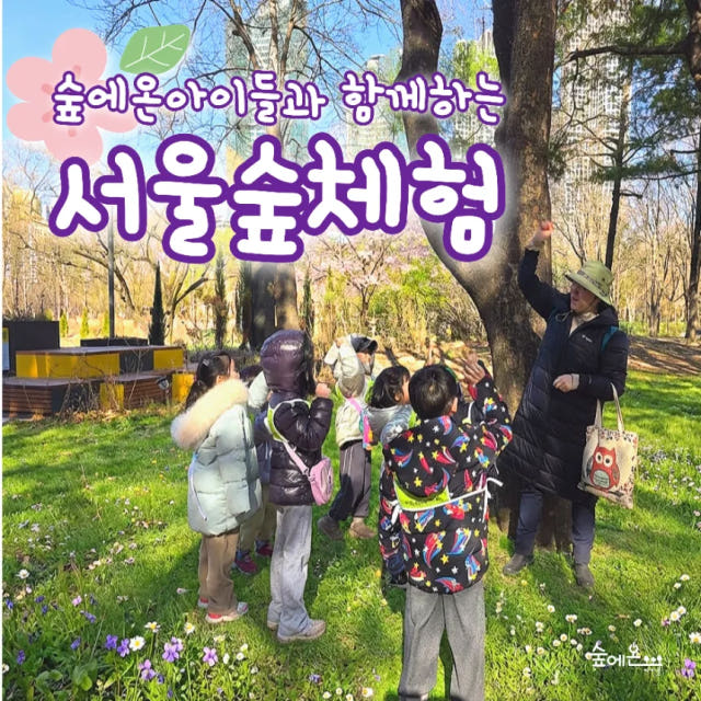 어린이 봄 숲체험 유아 초등 자연 주말 체험 학습